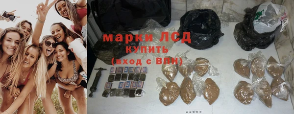 mdpv Новозыбков