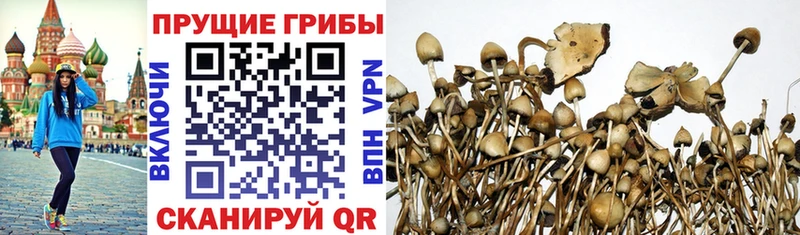 Галлюциногенные грибы ЛСД  как найти закладки  Сальск 