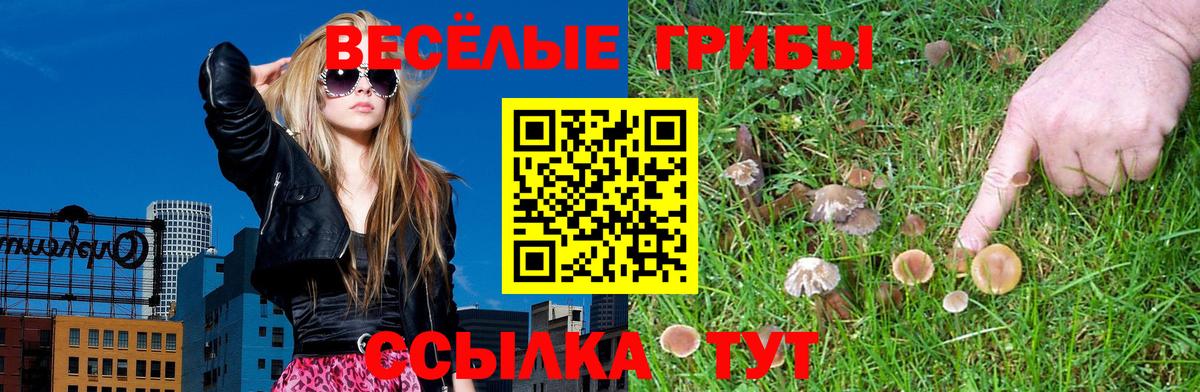 Сальск  Галлюциногенные грибы MAGIC MUSHROOMS  Вход с VPN 