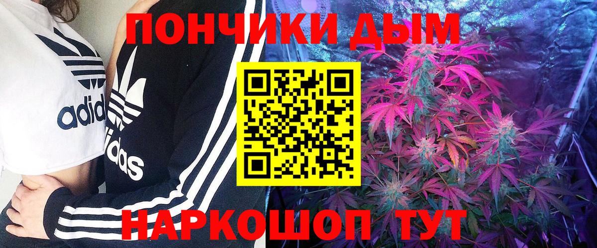 Бошки Шишки гибрид Сальск